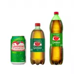 GUARANÁ ANTARCTICA