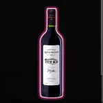 Vino Santiago Queirolo Seco Malbec