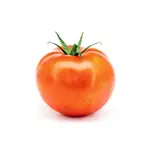 Tomate salada uni