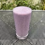Bird Berries Protein