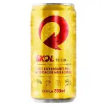 Skol 269ml (fininha)