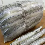 FILE DE AGULHA BRANCA