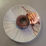 Coulant de chocolate