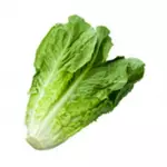 Romaine Lettuce Unid