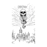Clave: Harry Potter 6
