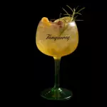 GIN TROPICAL