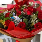 15 rosas vermelhas ver (Linha GG )