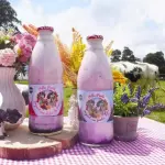 Yogurt Artesanal 1Lt