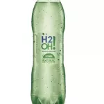 H20H
