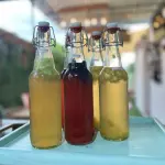 Kombucha tomar ahí 750ml