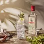 GIN BEEFEATER (DOSE)