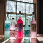 4B Kéfir de Agua  - Piña Dragon