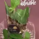 Babyzinha, a Torre  de Kafta