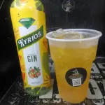 COPÃO 1L  TROPICAL GIN KYRIOS