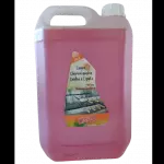 Limpa Churrasqueira, grelha e espetos 5lt