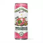 MASCATE DRINKS MELÂNCIA 362ML