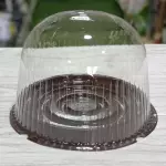 Domo ovalado A019