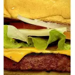 HAMBURGUESA VEGETARIANA
