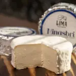 MINASBRI