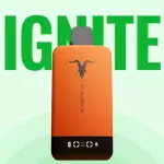 IGNITE V155 LARANJA - 15.500 PUFFS💨