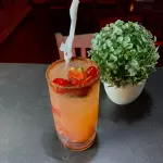 Paloma de Fresa 🍓 🕊️o SANDIA