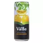 Suco Del Valle Maracujá 290ML