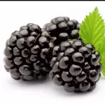 MORA🍇