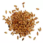 CEBADA RUBIA 400GR
