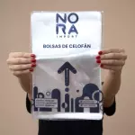 Bolsas celofán con adhesivo 20x28
