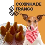 COXINHA DE FRANGO