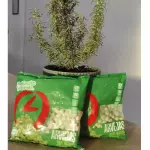 ARVEJA 200GR