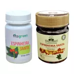 Espinheira Santa