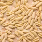 Cavatelli