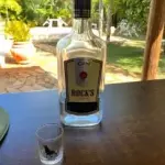 Gin Nacionais 🥃