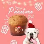 PANETONE 120gr