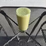 Green Iguana Protein