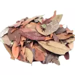 Insulina (folha) - 20g