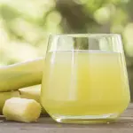 Perro Huevero (coctel de la casa)