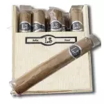LS ROBUSTO