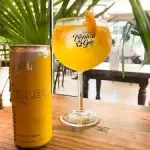 tropical gin