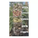 BALAS PINGO 350g