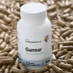 Gurmar
