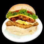X Frango Especial