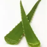 Sábila x hoja