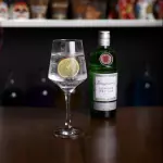 Gin Tonic