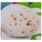 HUEVOS CHOCOLATE