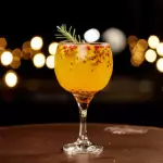 GIN TROPICAL