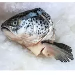 三文鱼头 Cabeza de salmón