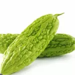 苦瓜 pepino amargo