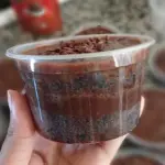 Bolo no pote